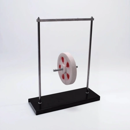 Маятник Максвелла